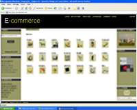 IBS_E-commerce